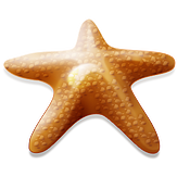 Make_a_Difference_Starfish