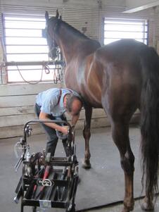 Amish_Blacksmith_Susan_Meissner